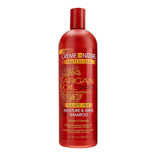 CREME OF NATURE Argan Oil Moisture & Shine Shampoo (20oz) Creme of Nature